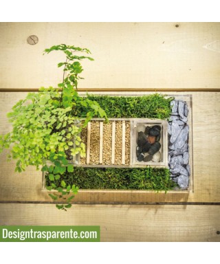 Vaso in plexiglass trasparente per composizione piante verdi