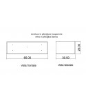 Consolle Plexiglass: Consolle per ingresso da parete in plexiglass