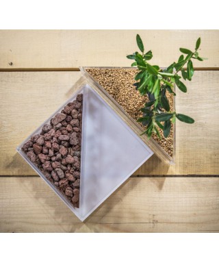 Idee regalo bomboniere:Vaso in plexiglass con piante per bomboniere