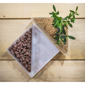 Idee regalo bomboniere:Vaso in plexiglass con piante per bomboniere