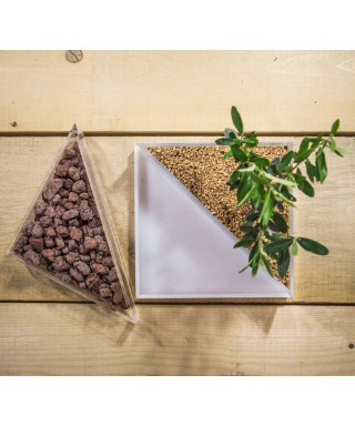 Idee regalo bomboniere:Vaso in plexiglass con piante per bomboniere