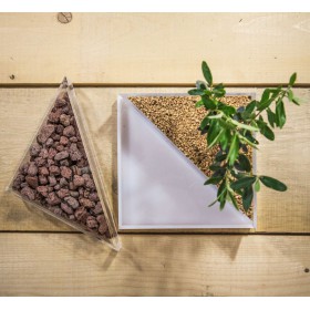 Idee regalo bomboniere:Vaso in plexiglass con piante per bomboniere