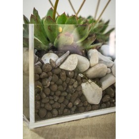 Plexiglass & Idee originali: Vaso composizione piante grasse in plexiglass trasparente