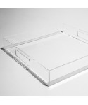Transparent acrylic rectangular tray fruit holder or centrepiece.