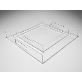 Transparent acrylic rectangular tray fruit holder or centrepiece.
