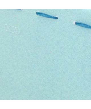 Borsetta trasparente da donna