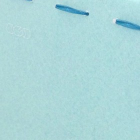 Borsetta trasparente da donna