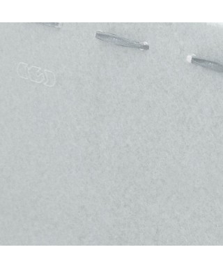 Borsetta trasparente da donna