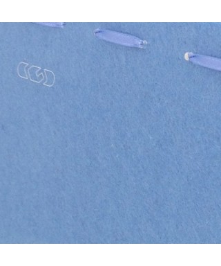 Borsetta trasparente da donna