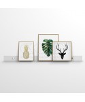 Modern transparent acrylic photo shelf various sizes.