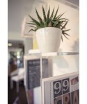 Mensola Cubo 60x38h25 in plexiglass trasparente espositore con cornice