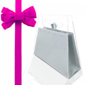 Borsetta trasparente da donna