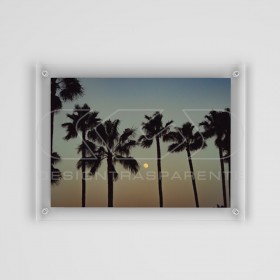Photo Frame Base cm 80 variable H plexiglass with transparent screws.