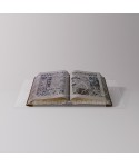 Lectern 45 cm transparent acrylic tabletop bookstand for books.