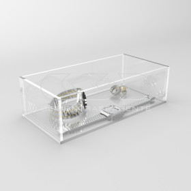 Scatola contenitore cm 60x20 in plexiglass trasparente varie altezze.